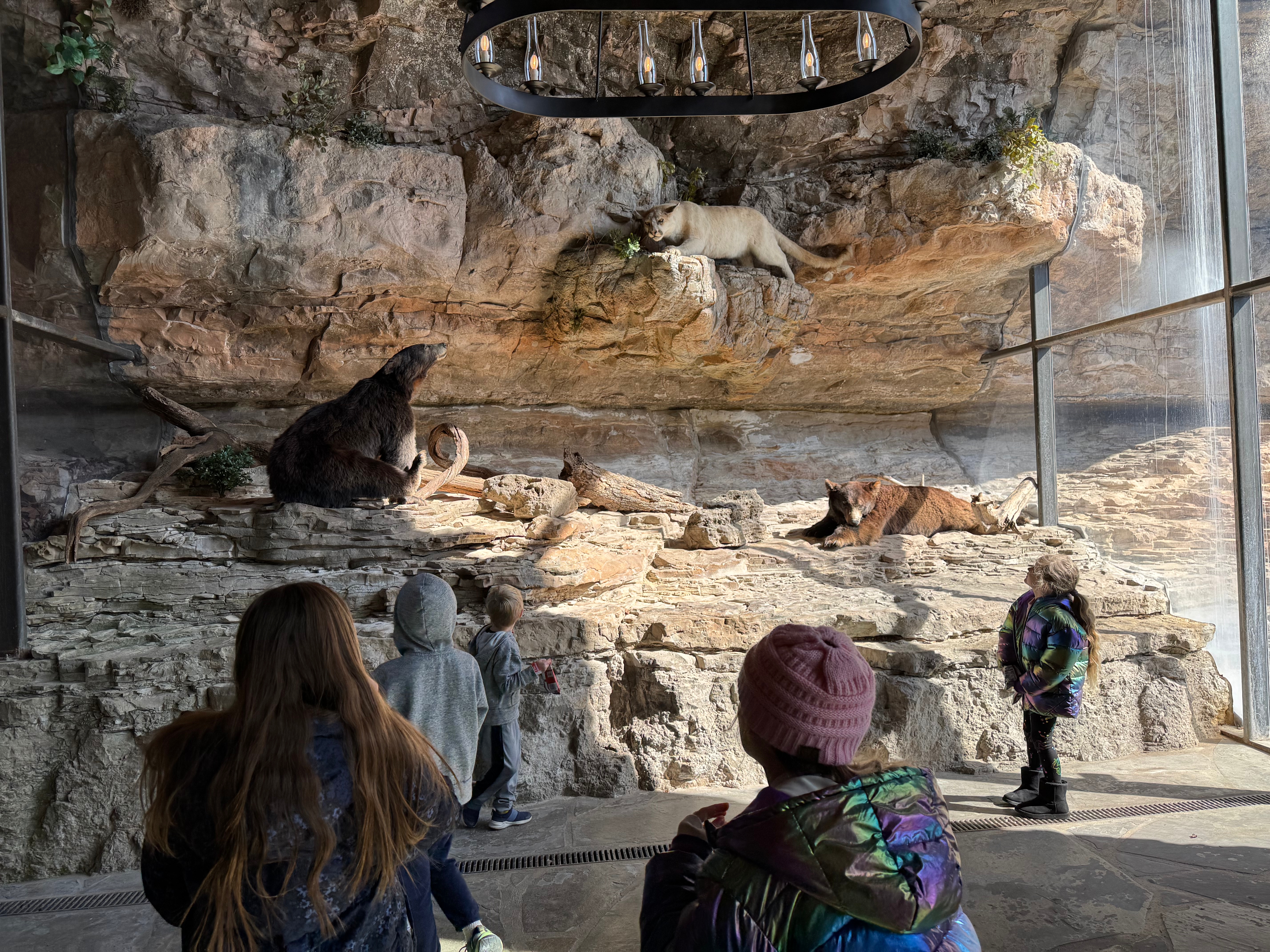 Children observing a bear and other wildlife exhibits in a nature museum with rock formations.